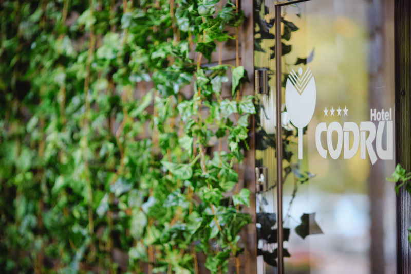 Codru Hotel Kişinev Dış mekan fotoğraf